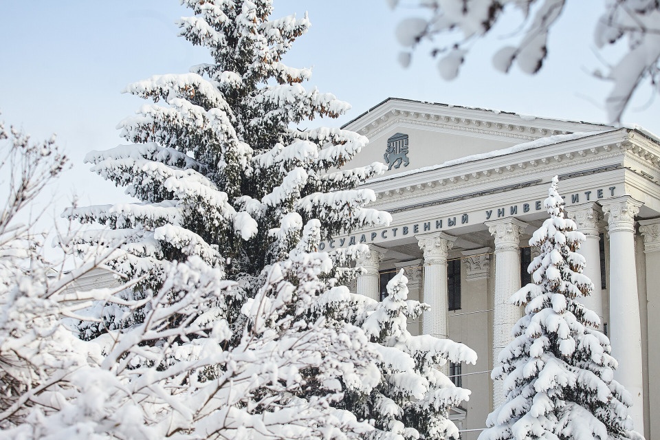 Мокрый снег ожидается в Псковской области 31 января