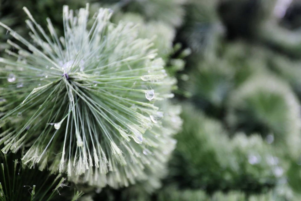 Давай, до свидания! Давай, до свидания!