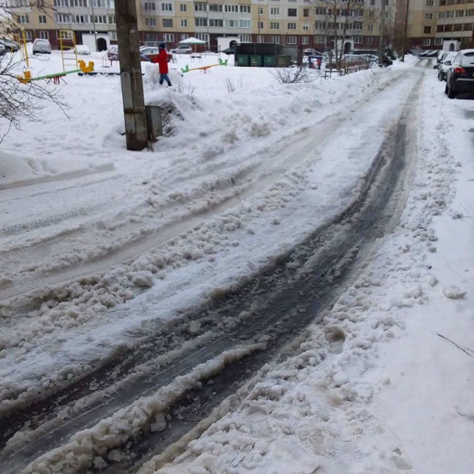 Борис Елкин раскритиковал управляющие организации за неубранный снег в Пскове