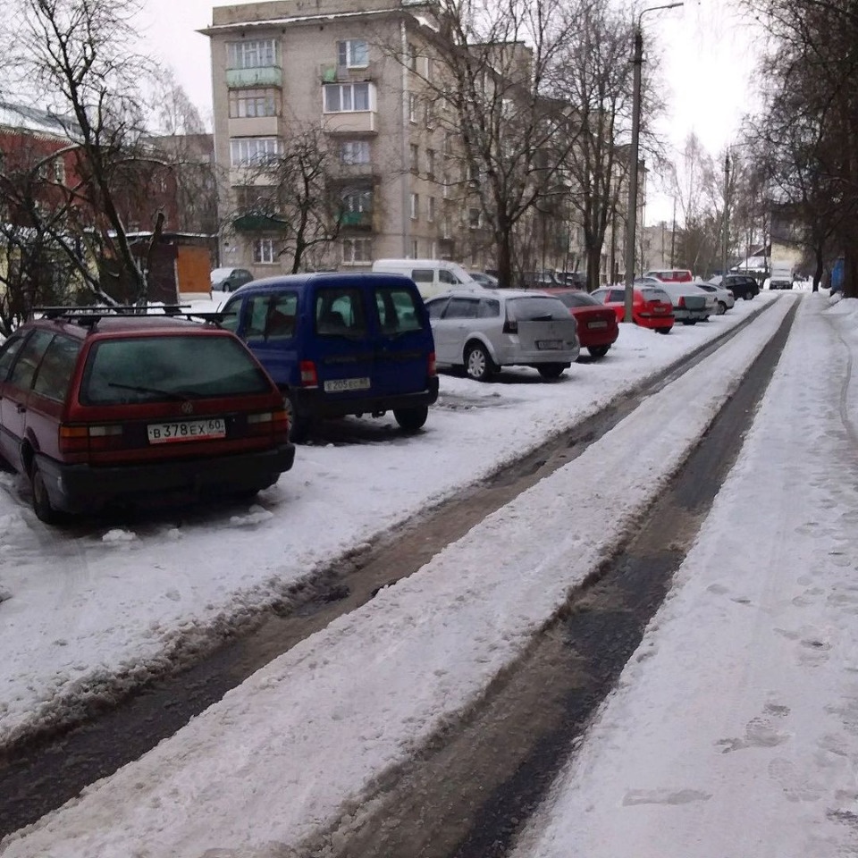 Борис Елкин раскритиковал управляющие организации за неубранный снег в Пскове