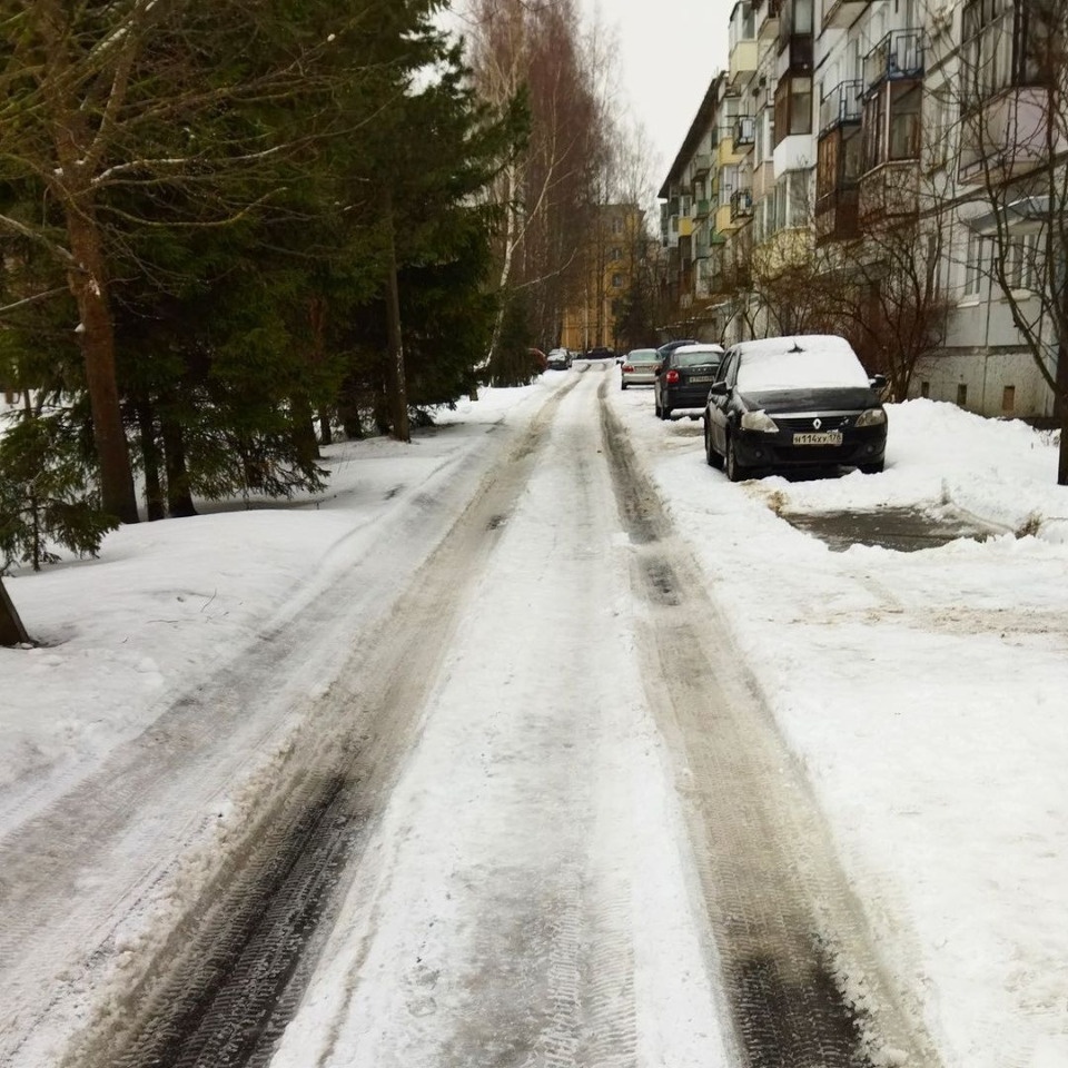 Борис Елкин раскритиковал управляющие организации за неубранный снег в Пскове