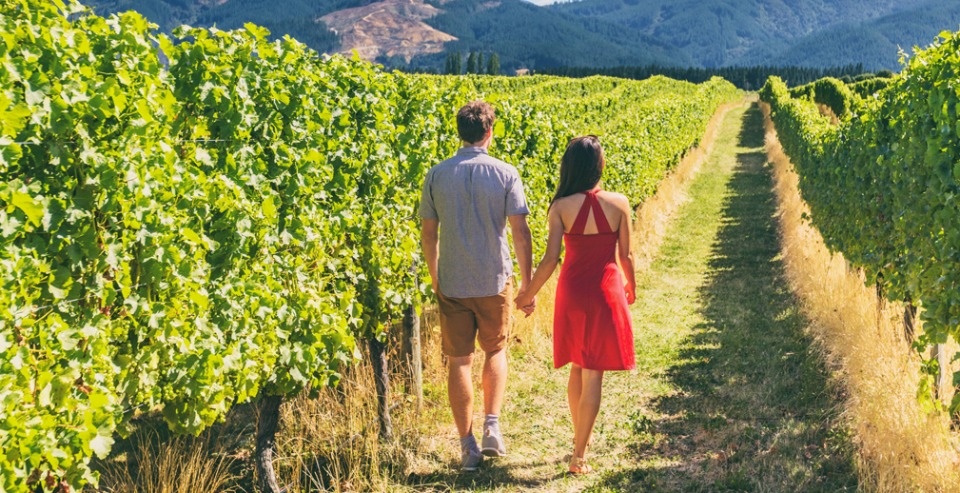 Сельский туризм может приносить фермерам по 200 млрд рублей ежегодно с 2030 года 