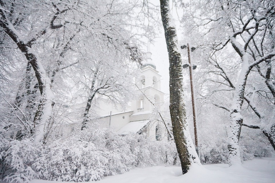 До -12 градусов и снег ожидаются в Псковской области 5 февраля До -12 градусов и снег ожидаются в Псковской области 5 февраля