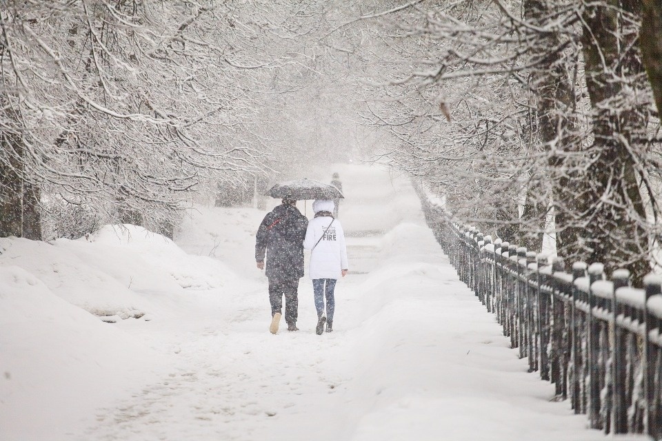 20% от февральской нормы осадков выпало в Псковской области за прошедшие сутки
