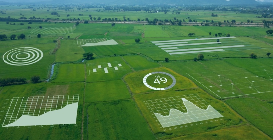 Россельхозбанк и «Сколково» создают экосистему инноваций в агропромышленном секторе