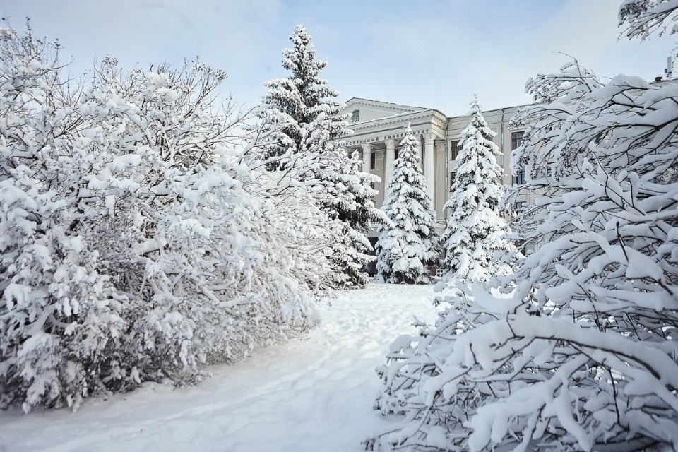 Без осадков и до +4 градусов ожидаются в Псковской области 9 февраля