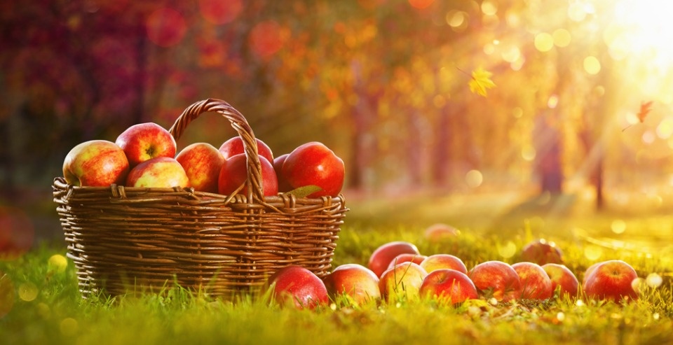 Более 30 фермеров и поставщиков из Псковской области присоединились к маркетплейсу РСХБ Свое Родное в 2021 году