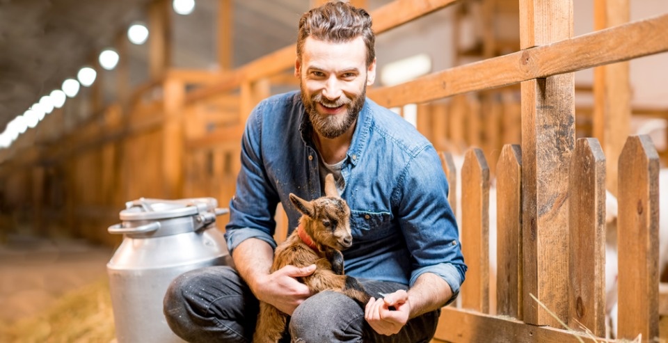 Самозанятые владельцы ЛПХ теперь могут получить субсидии. Кто? Как? За что? Разбираемся с Россельхозбанком