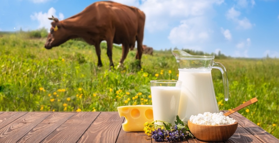 Выращенные на родной земле: россияне отдают предпочтение фермерским продуктам питания – опрос 