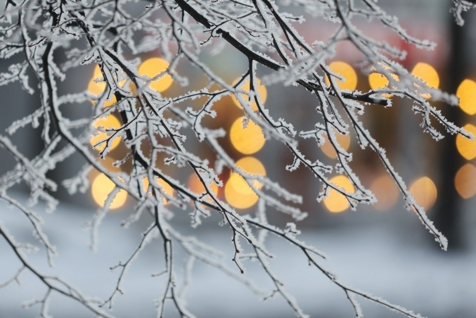 Мокрый снег с дождем прогнозируются в Псковской области 22 февраля 