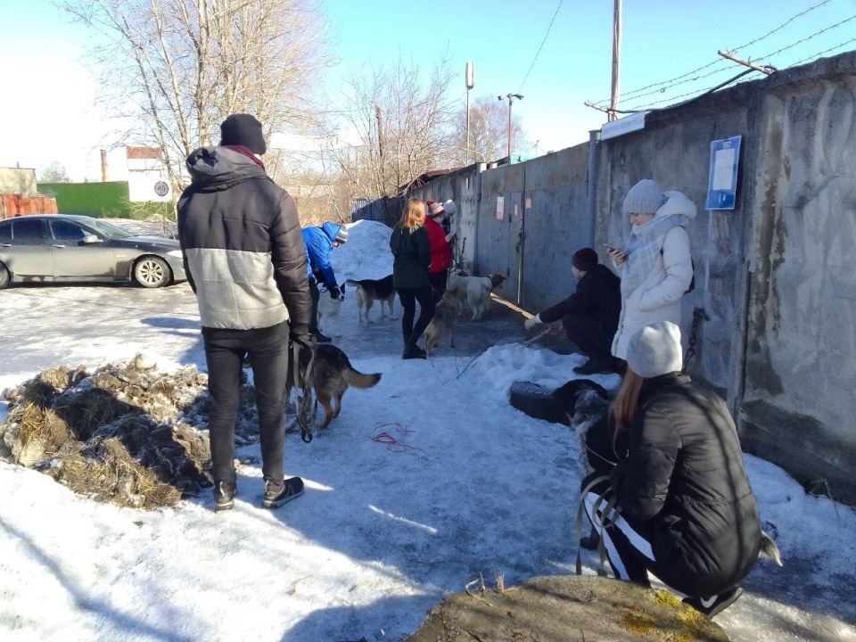 Псковские волонтёры собрали более 3 тонн макулатуры за месяц