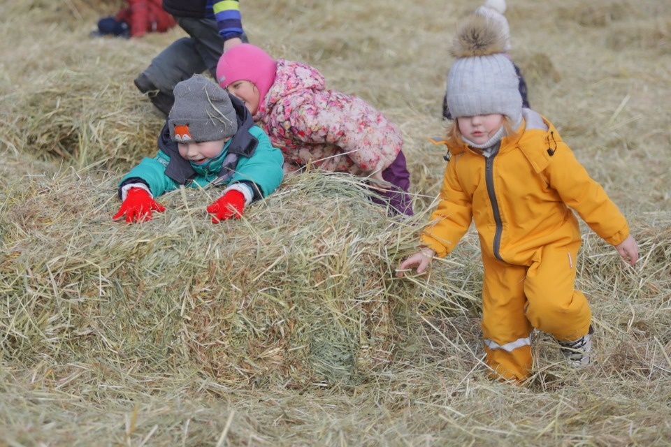 Псковская Масленица Псковская Масленица