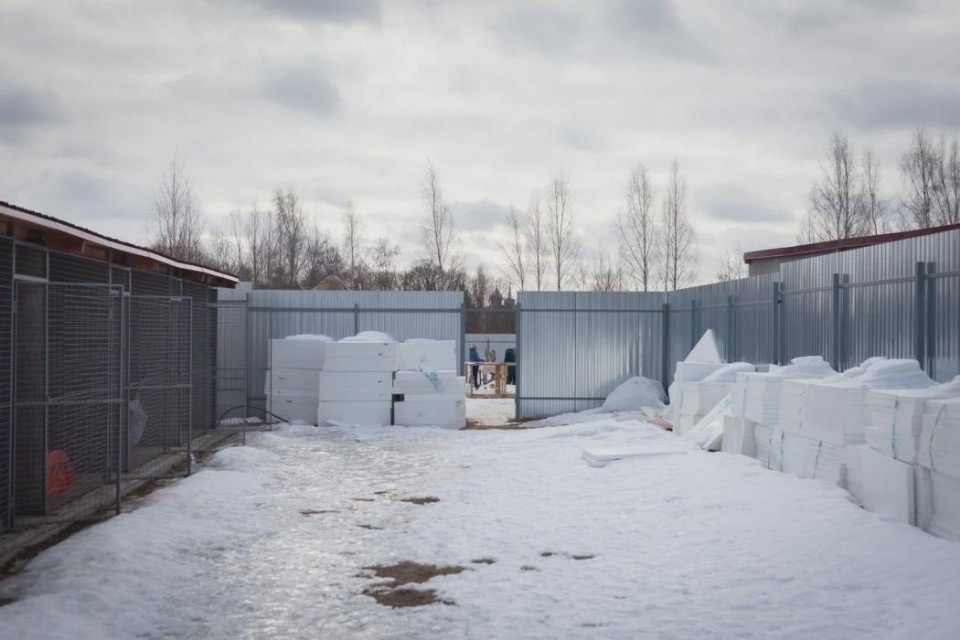 На окраине Пскова завершился первый этап строительства приюта для животных На окраине Пскова завершился первый этап строительства приюта для животных