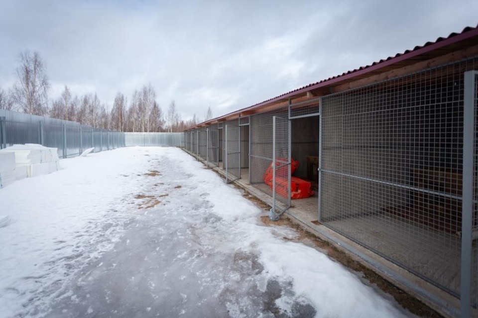 На окраине Пскова завершился первый этап строительства приюта для животных На окраине Пскова завершился первый этап строительства приюта для животных