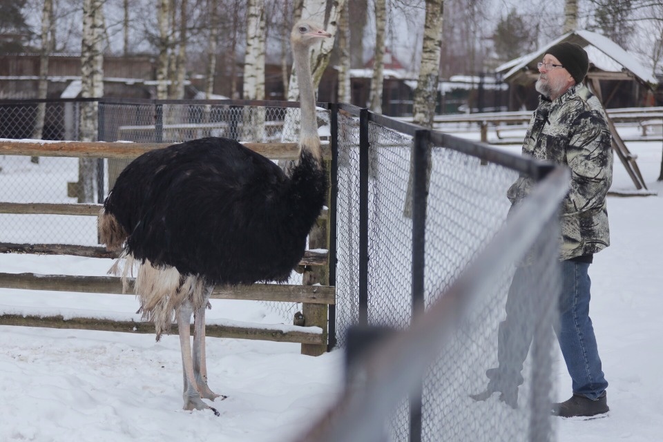 Пушкиногорский «Зооград» пока не знает, когда сможет начать работу