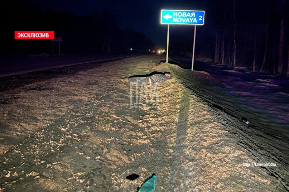 Фура насмерть сбила мужчину в Псковской области Фура насмерть сбила мужчину в Псковской области