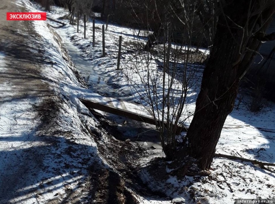 Мотоциклист получил травму в результате ДТП в Палкинском районе Мотоциклист получил травму в результате ДТП в Палкинском районе