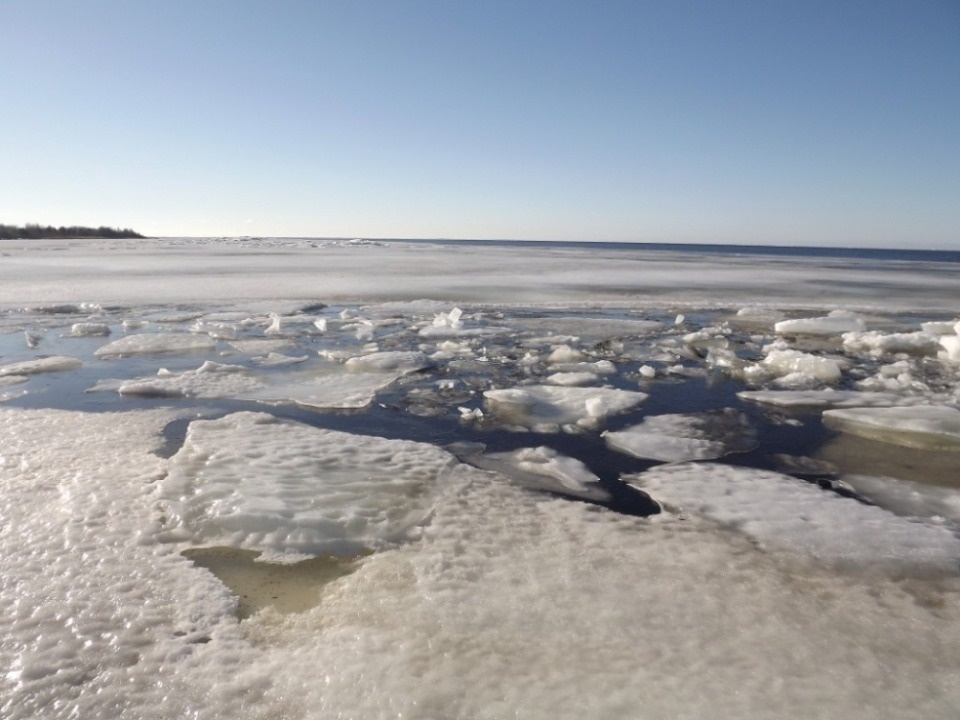 28 псковских рыбаков спасли с оторвавшихся льдин на прошлых выходных