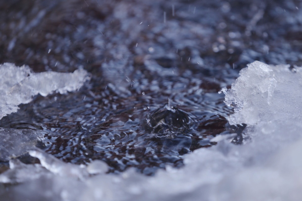 До +4 градусов ожидается в Псковской области 30 марта