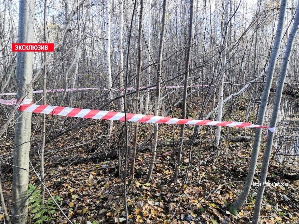 Убившая новорожденного ребенка псковичка отправится на 2 года в колонию-поселение Убившая новорожденного ребенка псковичка отправится на 2 года в колонию-поселение