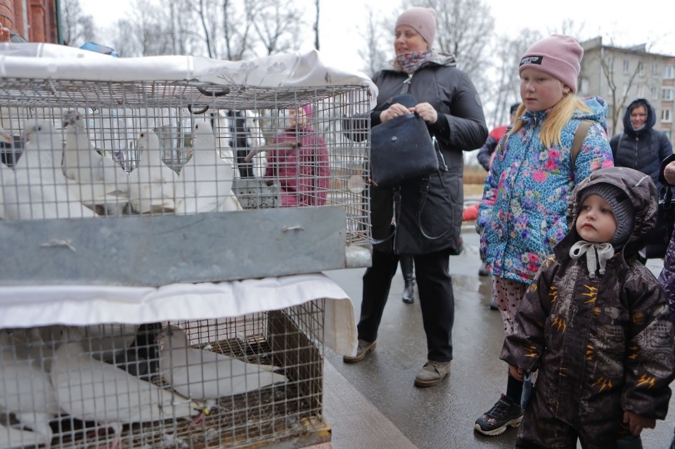 Благая весть