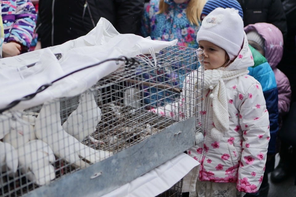 Благая весть