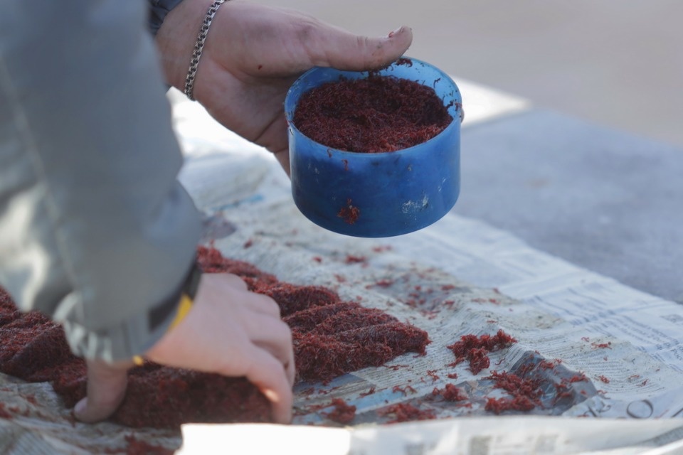 Большая и маленькая 