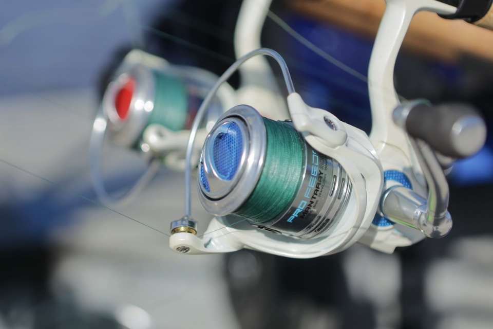 Большая и маленькая 