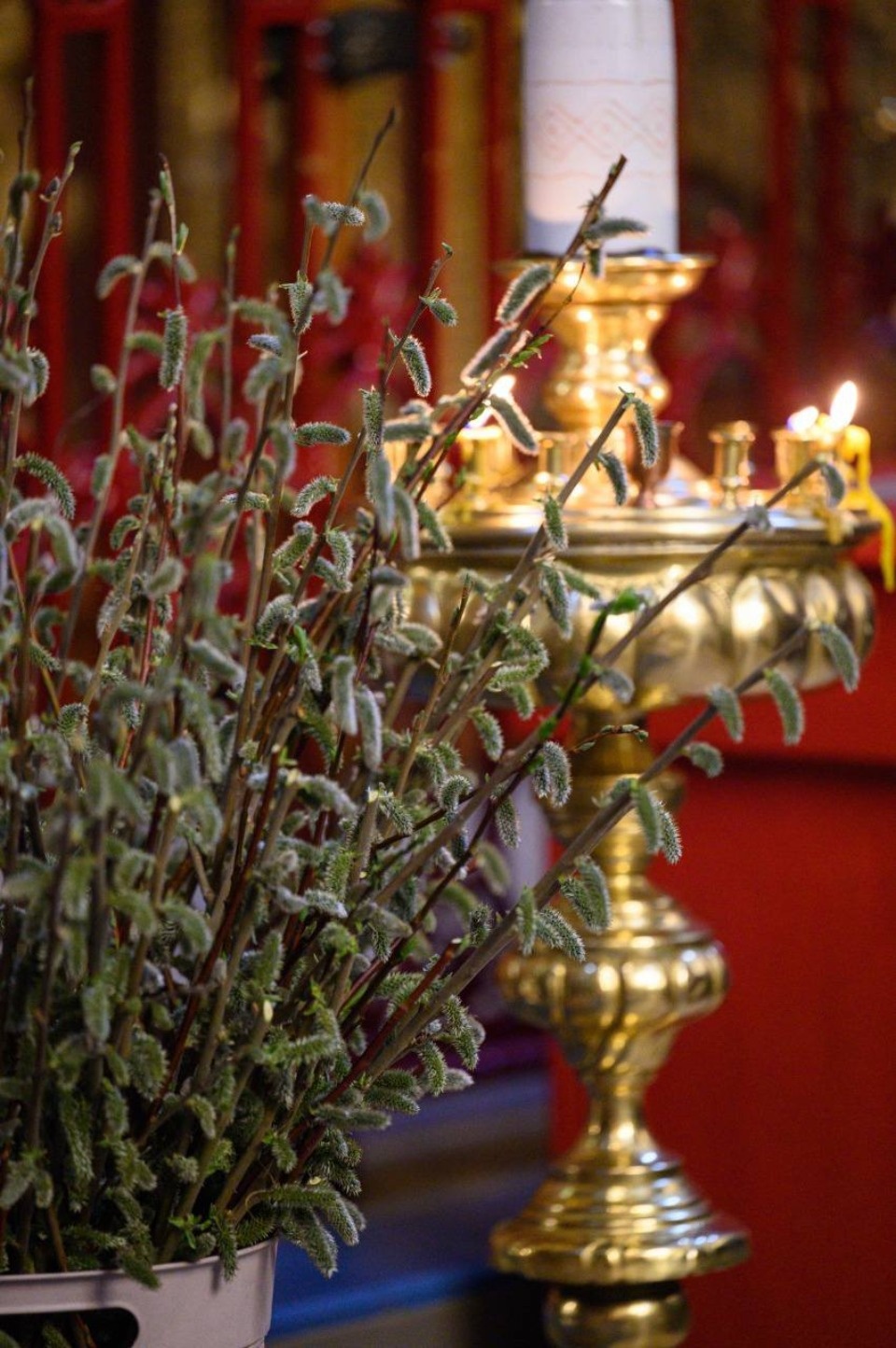 Михаил Ведерников поздравил псковичей с Вербным воскресеньем