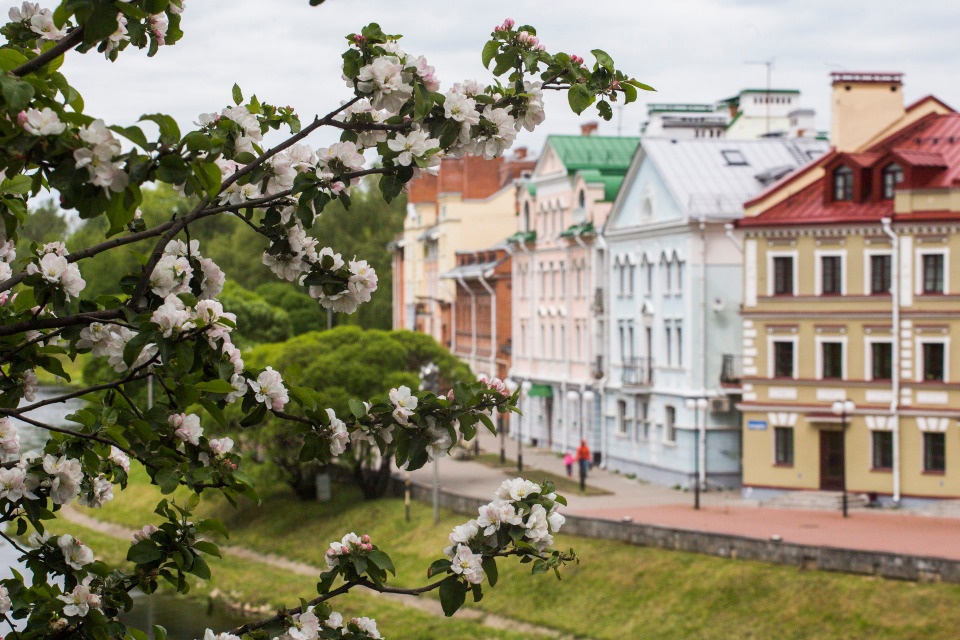 До +22 градусов ожидается в первой половине мая в Псковской области 