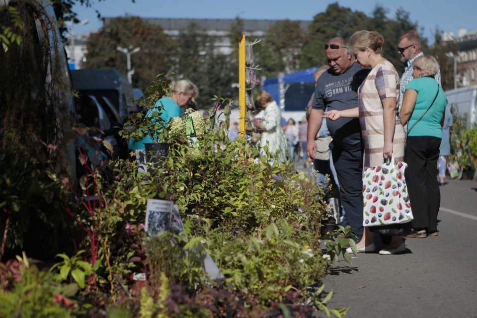 Сезон муниципальных сельскохозяйственных ярмарок стартовал в Псковской области