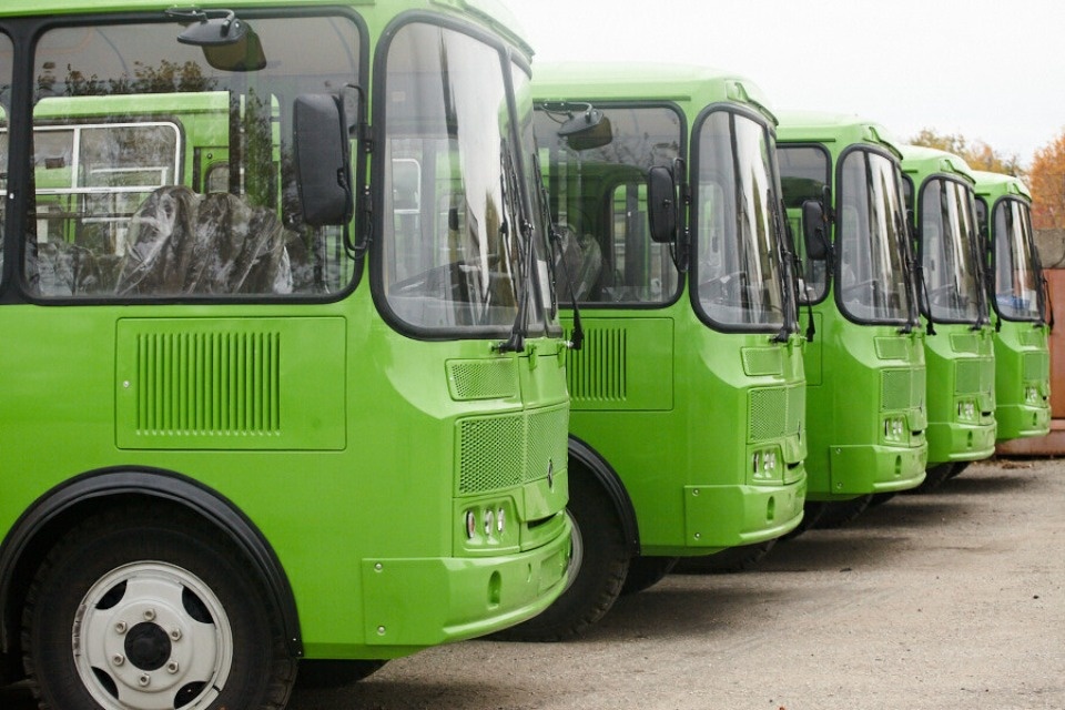 3 мая в Пскове запустят дополнительные автобусы до кладбища Орлецы-2