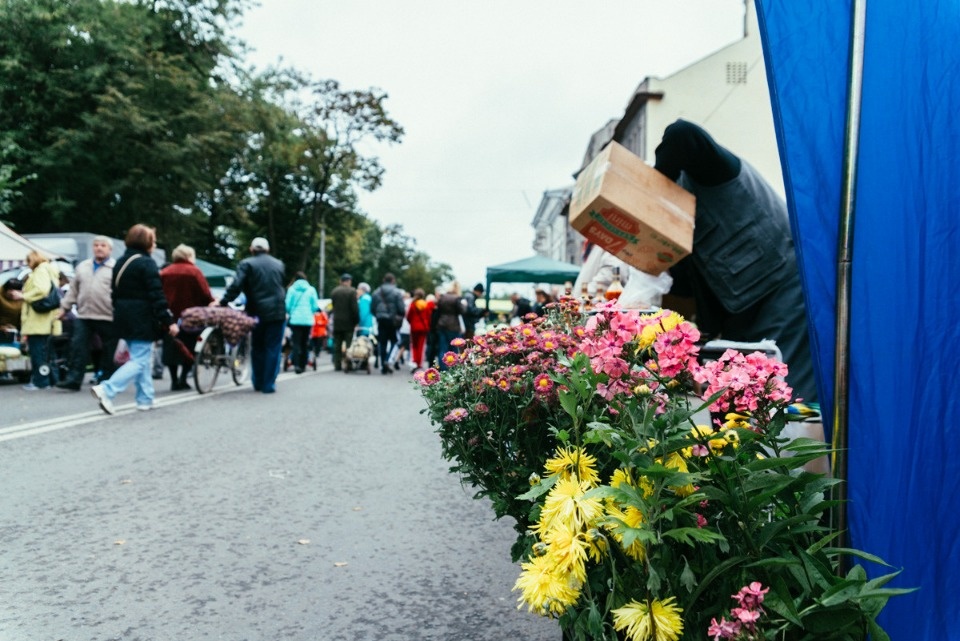 С 6 мая в Пскове откроется сезонная ярмарка «уДачный сезон – 2022»