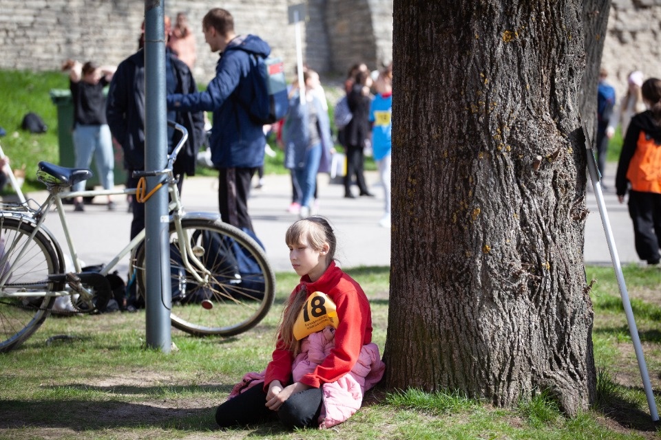 Эстафета «Псковской правды»: 7-й этап