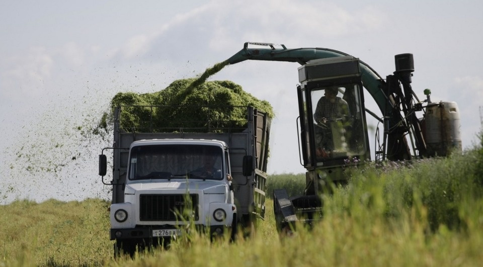 Студентам псковских сельхозтехникумов предоставят оплачиваемую практику в региональных хозяйствах