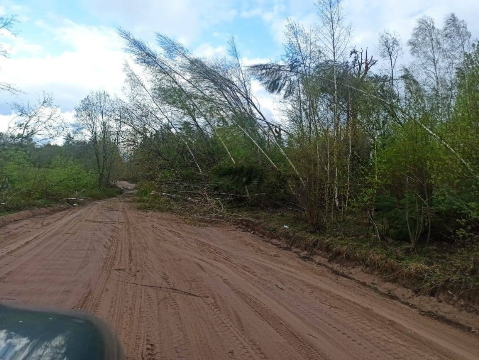 50 населенных пунктов Псковской области остались без света из-за сильного ветра