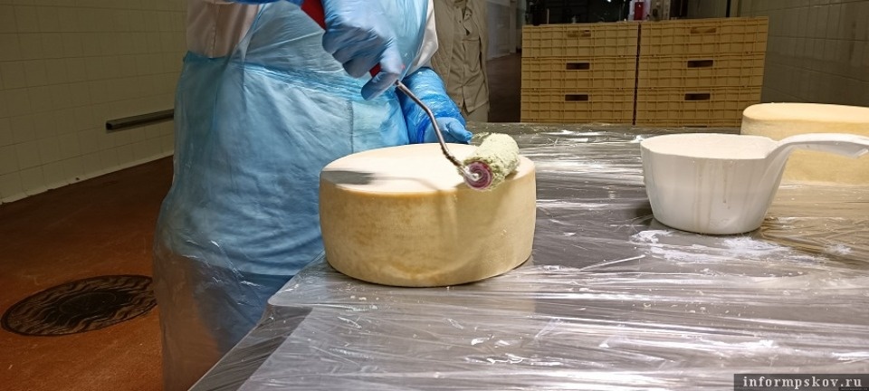 Великолукская сыроварня планирует частично сменить поставщика сырья