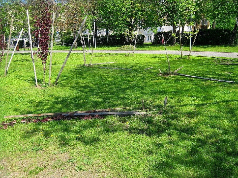 Псковский сквер пострадал от рук вандалов