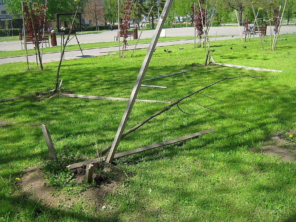 Псковский сквер пострадал от рук вандалов