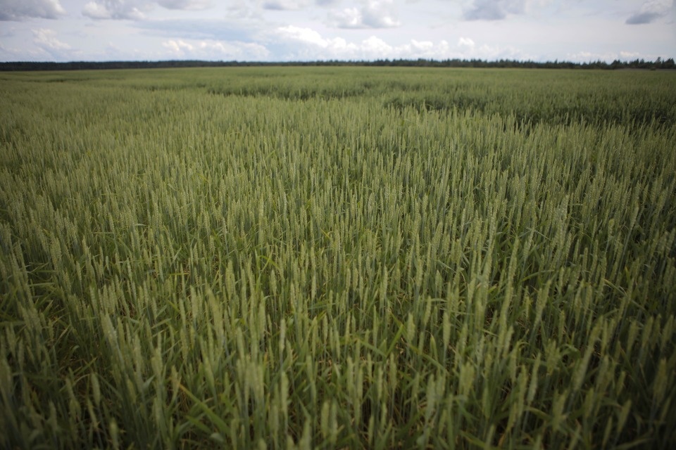 Поле возможностей