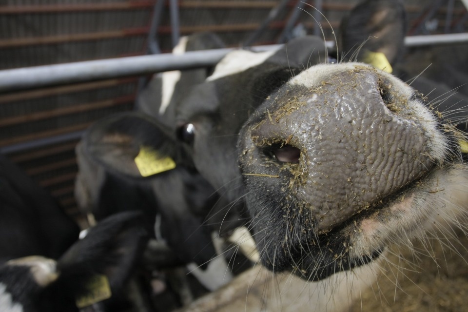 Поле возможностей