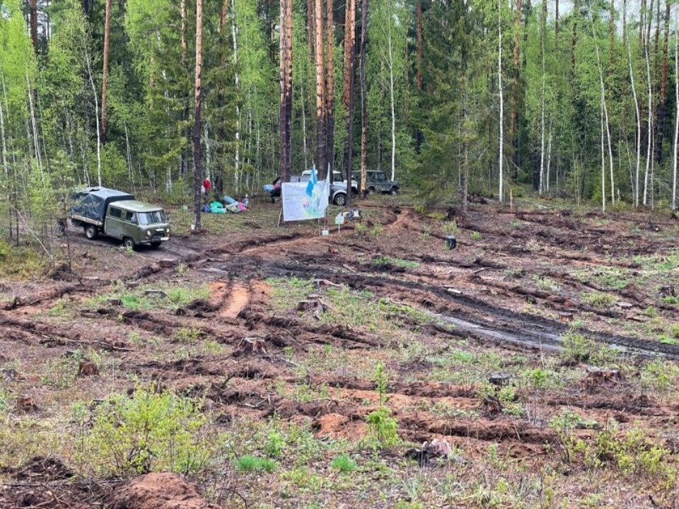Реализация проекта «Зелёная область» продолжается в Псковской области.