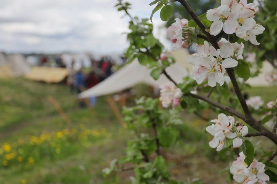 Возвращение легенды Возвращение легенды
