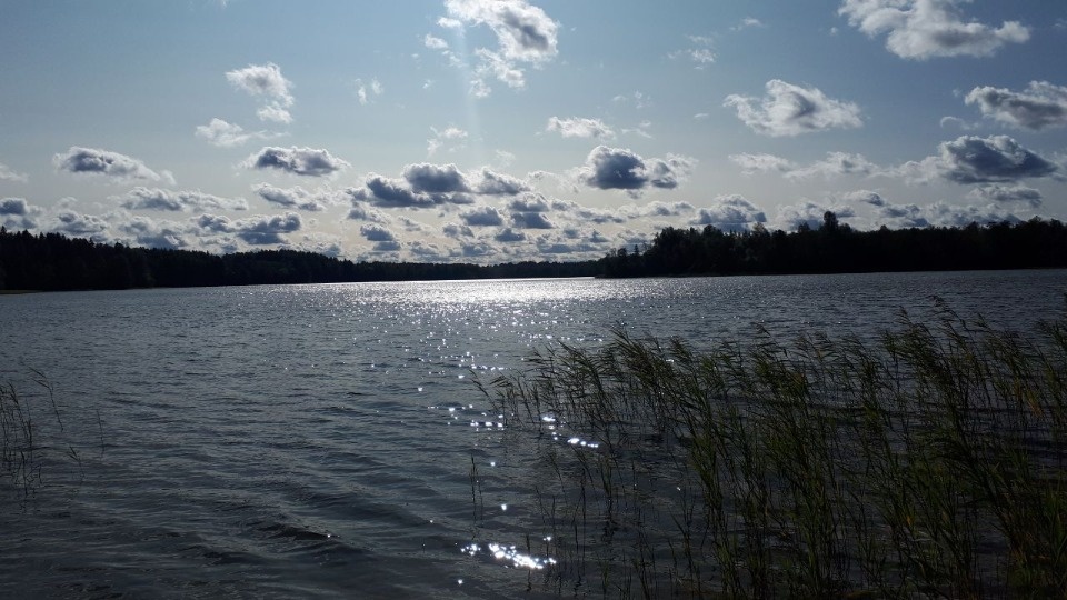 Почти 30 градусов жары обещают синоптики псковичам 9 июня Почти 30 градусов жары обещают синоптики псковичам 9 июня