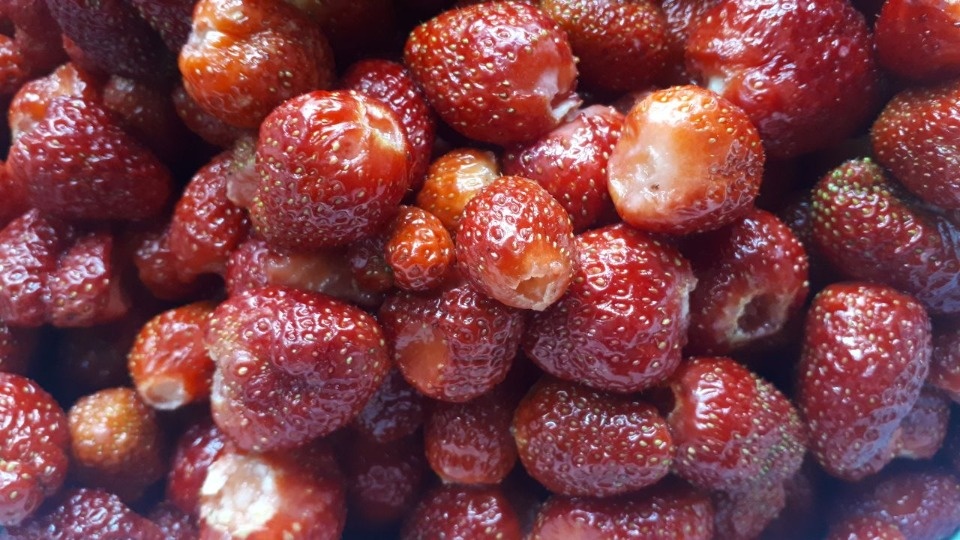 Жару днём и дожди по ночам прогнозируют синоптики в праздничные выходные в Псковской области