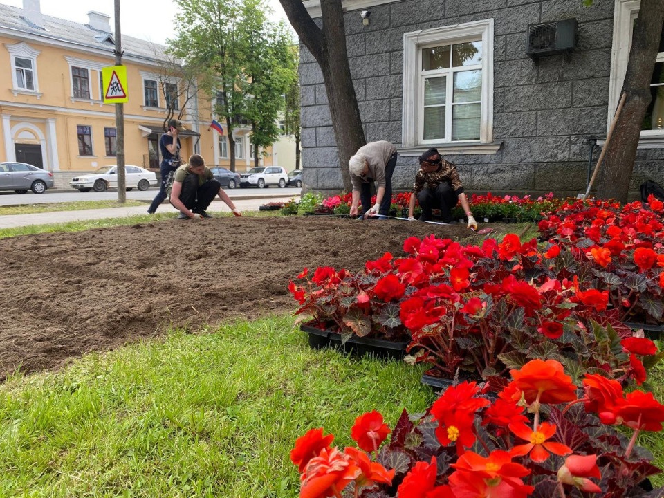 Цветочное оформление меняется в Пскове 