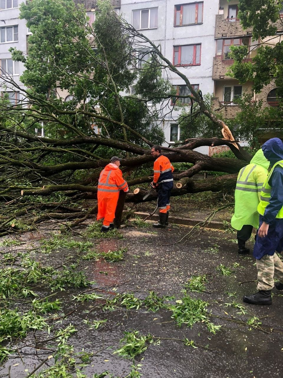 Из-за непогоды в Пскове повалены 18 деревьев и подтоплены 15 дорог