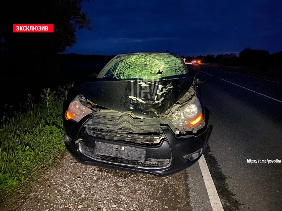 В Псковском районе насмерть сбили пешехода