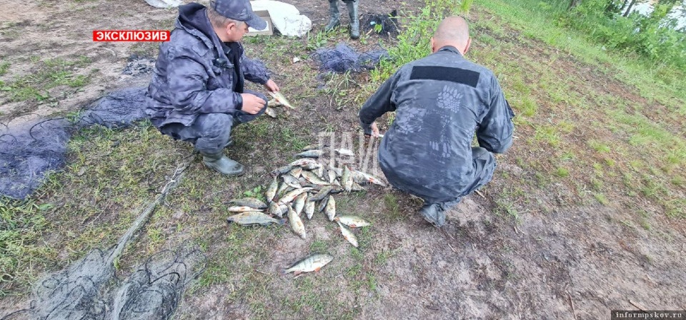 Браконьеров-рыболовов задержали в Опочецком районе Браконьеров-рыболовов задержали в Опочецком районе
