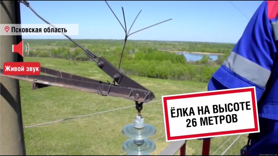 На ЛЭП в Псковской области установили «ёлки» для защиты птиц от ударов током На ЛЭП в Псковской области установили «ёлки» для защиты птиц от ударов током